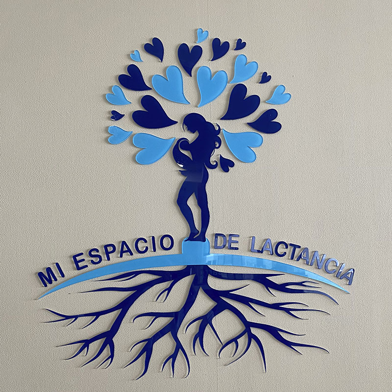 Consultorios Pediatricos Hospital Angeles Puebla Instalaciones